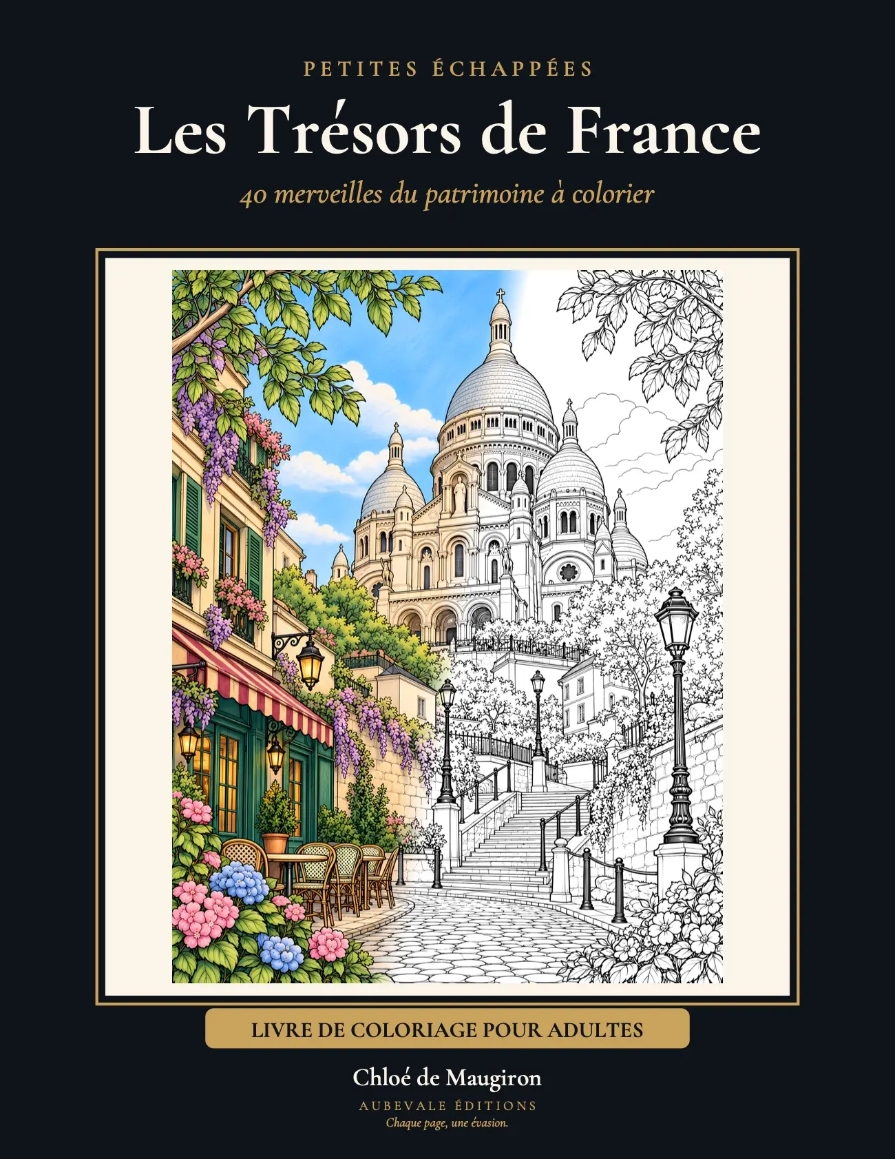Première de couverture de Les Trésors de France