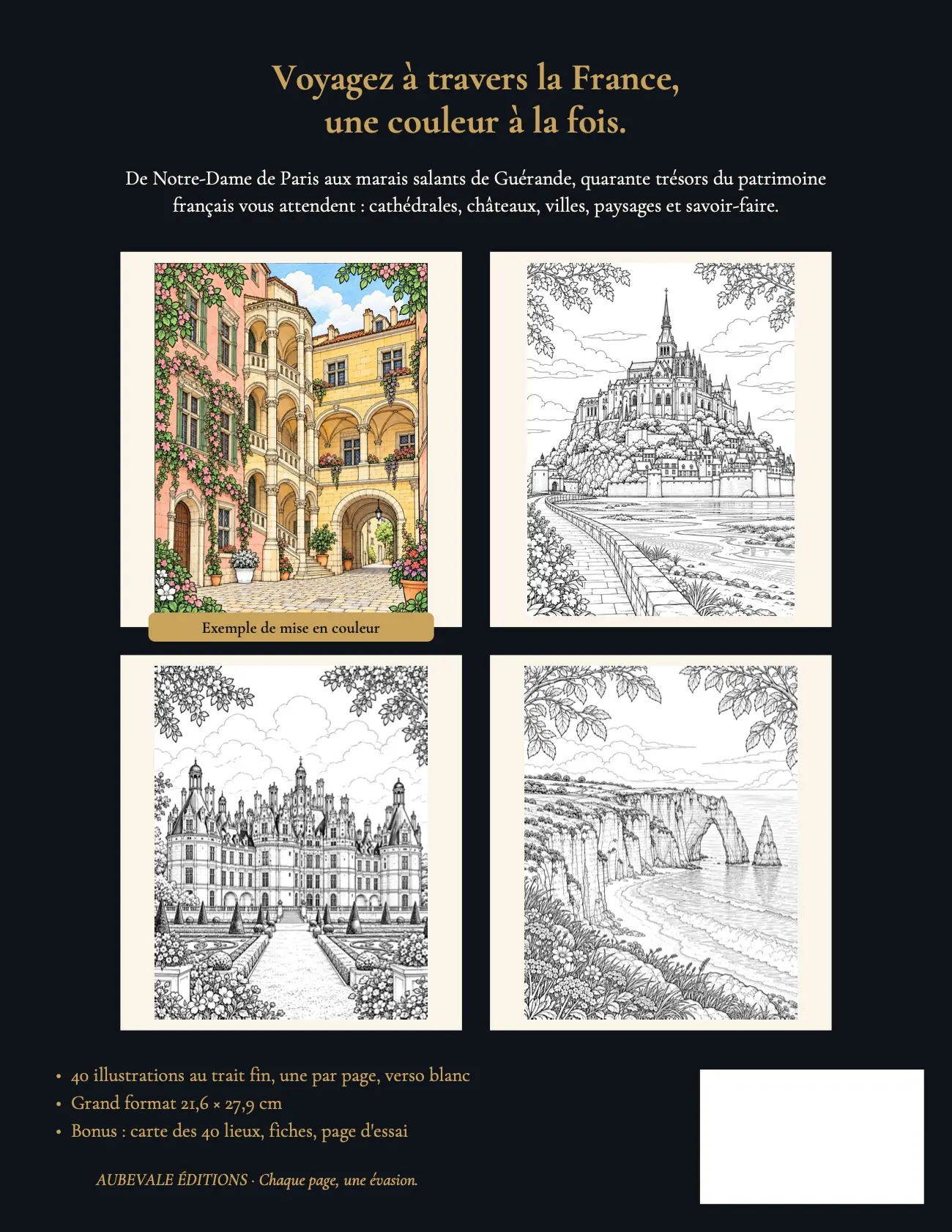 Quatrième de couverture : « Voyagez à travers la France, une couleur à la fois », quatre planches d’exemple et les caractéristiques du livre